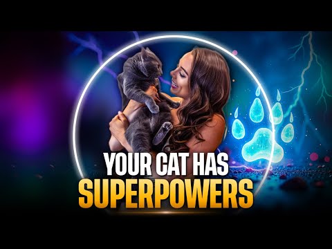 The Mystical Power of Cats: Spiritual Guardians & Energy Protectors!