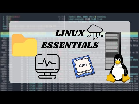 [Linux CLI] Essential Command Line Commands Everyone Should Know