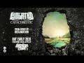 Isolated - Catachrestic (ft Colin Jeffs of Aversions ...