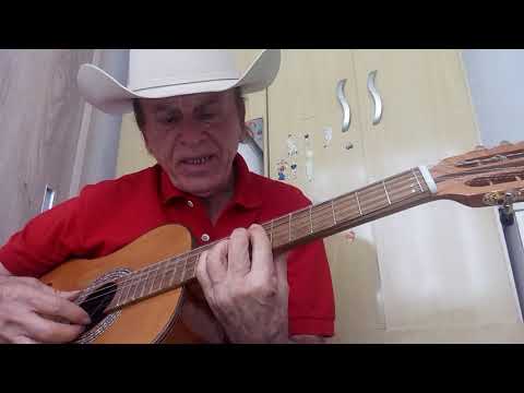 VOLTA AO MUNDO COM A VIOLA INTERPRETADA POR LIBERO SILVESTRE