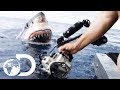 35ft Great White Shark Lurking in 'The Kill Zone' | Super Predator 35ft Great White Shark Lurking in 'The Kill Zone' | Super Predator