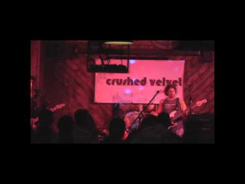 Crushed Velvet - Black Dog
