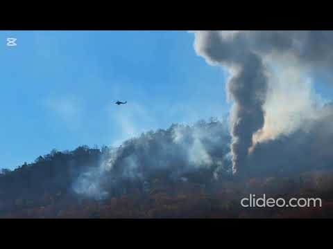 Ana Isabel Picazo Royo Maria Redondo Sevilla Lucia Cifuentes Hernández  Ana Delgado Martínez  Migu