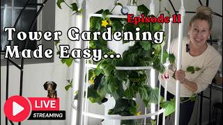 Tower Gardening Made Easy LIVE STREAM #towergarden #gardening #hydroponicgardening #farm