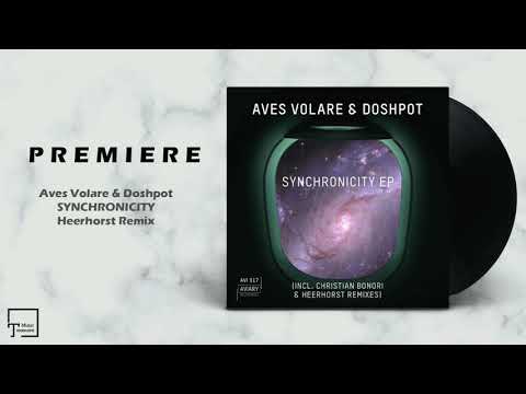 PREMIERE: Aves Volare & Doshpot - Synchronicity (Heerhorst Remix) [AVIARY RECORDINGS]