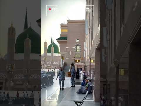 Promotional Video for Al Saaih