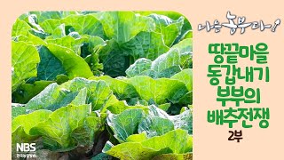 [나는농부다 225회 2부] 땅끝마을 동갑내기 부부의 배추전쟁