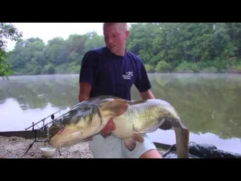 Venue videos photo 3