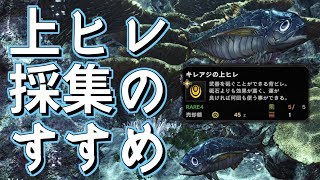【MHW】ドスキレアジのおすすめ採集ルート 解説付き【モンハンワールド】