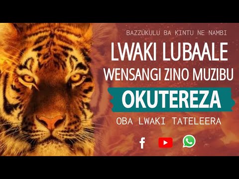 LWAKI LUBAALE WENSANGI ZINO MUZIBU OTEREEZA OBA LWAKI TATERERA #lubaale