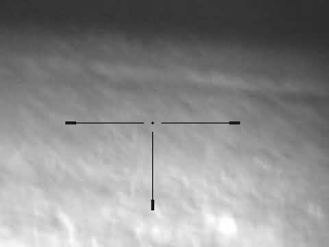 Jackal hunting with .223