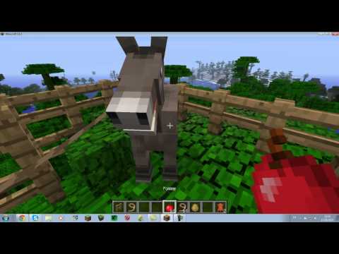 comment monter a cheval minecraft 1.8