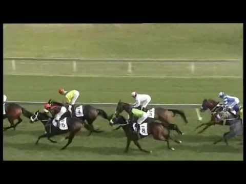 2017.05.06 S A Oaks (RSA) - Wind Chill