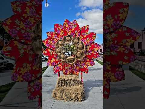 Capela do Alto Alegre / Bahia.  Comemora festas juninas