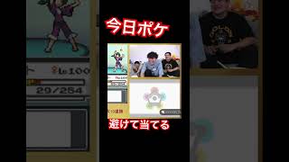 【今日ポケ】金ネジキ名物。ひかりのこなで避けて当てる