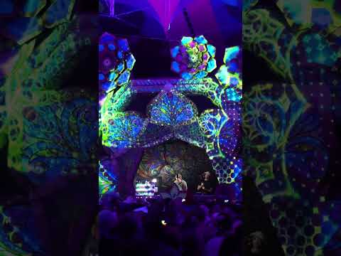 Iboga Records Music and HEADROOM (SA)