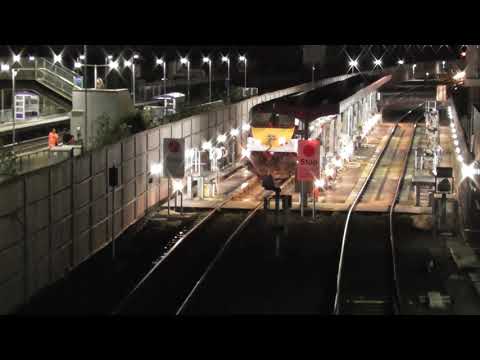 Irish Rail 201 Class Loco 231 at Adelaide Depot. 1/3/24