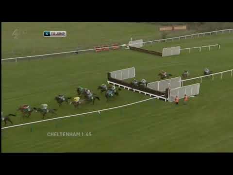 2011 paddypower.com Handicap Chase - Cheltenham Open meeting