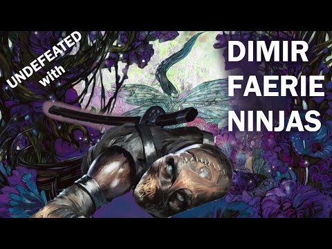 [Modern] UNDEFEATED with Dimir Faerie Ninjas!
