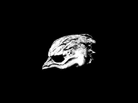 download lagu mp3 mp4 Legend Of The Seagullmen Album, download mp3 Legend Of The Seagullmen Album free download, download mp3 Legend Of The Seagullmen Album