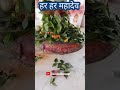 O Bada Nik Lage Baba Ke Bhawan New Pawan Singh Song Best Bhojpuri Status Song