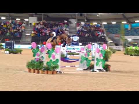 Ibelle van de Grote Haart Göteborg 2017 CSI3* 155cm