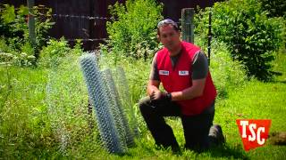 How to Keep Deer, Birds, Rabbits and Insects Out of Your Garden  | Tractor Supply Co.