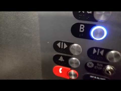 The black buttons got modernized! Otis Series M2 Traction Elevator at Bonnie Doon Centre