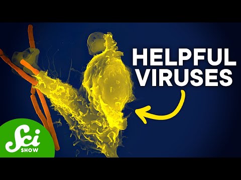 The Viruses That Changed Our World