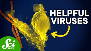 The Viruses That Shaped Humanity