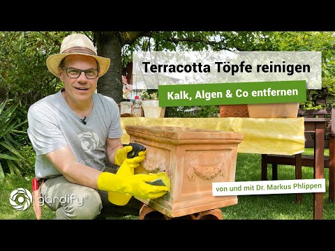 Terracotta Töpfe reinigen – Kalk, Algen & Co entfernen | gardify Tipps