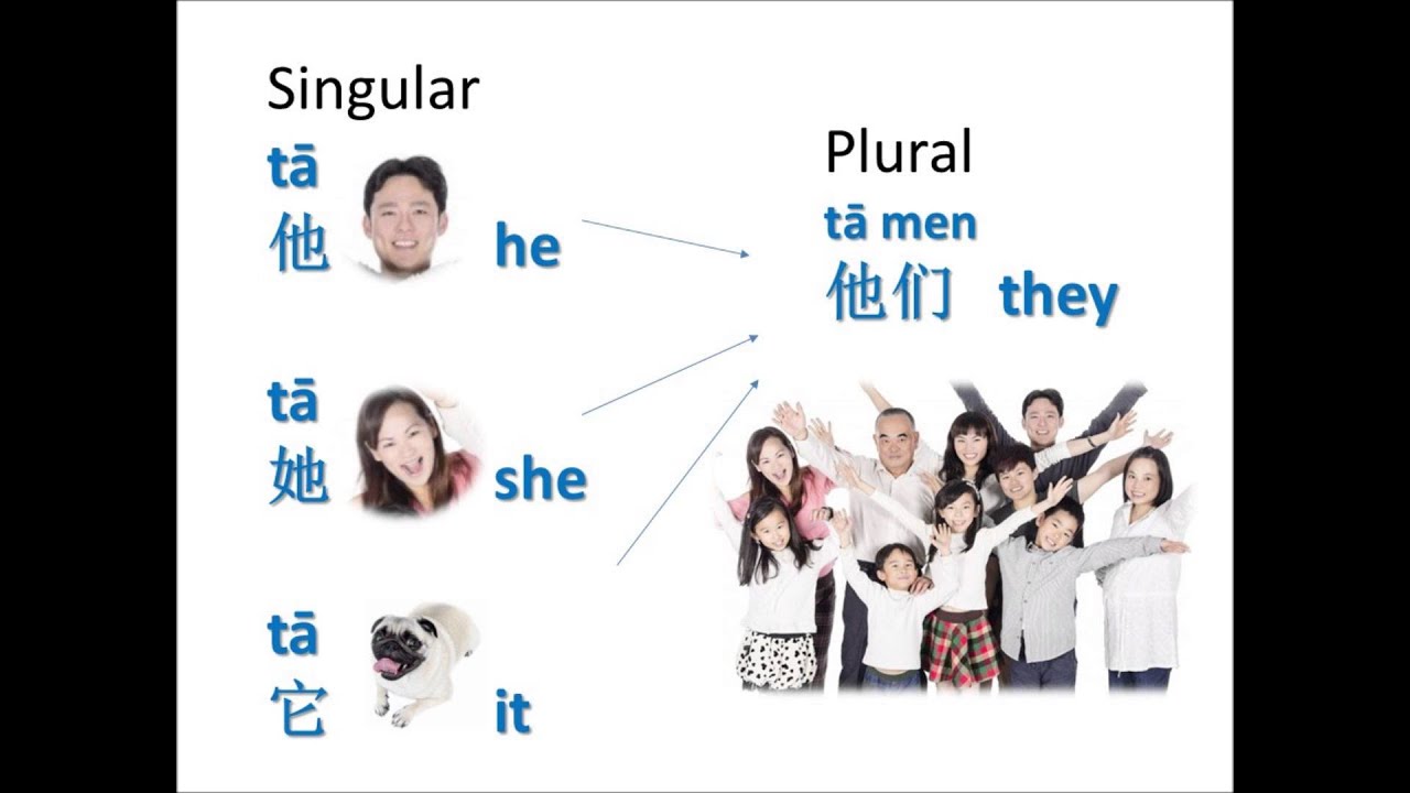 You, I, He, 你、我、他 Mandarin Chinese 101, Pronouns