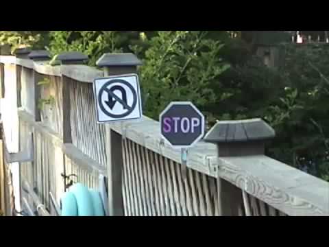 Inspira2atie - Verandering? Gewoon doen!