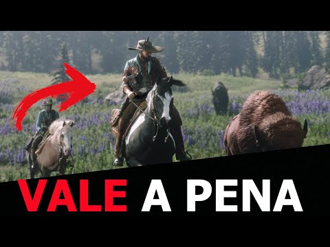 CAVALOS DO OFÍCIO DE NATURALISMO VALE OU NÃO A PENA