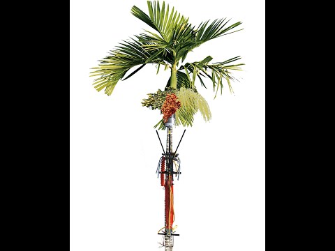 Iron arecanut harvesting and spraying machine