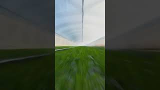 Download lagu green house sayur hijau di jepang （みずな） mp3