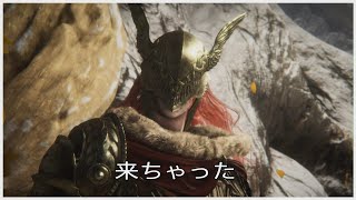 まるで成長しない ELDEN RING ③ 【ずっとレベル1の旅】