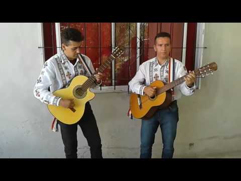 Los brillantes latino.