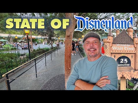I found the BEST DAY to go to Disneyland | State of Disneyland 25-08-17