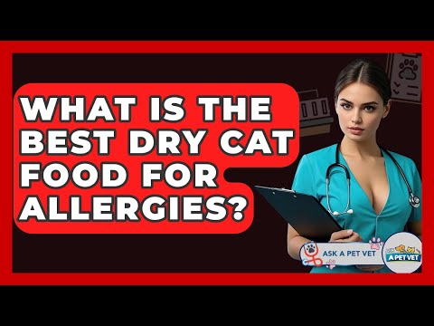 What Is The Best Dry Cat Food For Allergies? - Ask A Pet Vet
