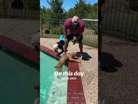 He can swim swim now.