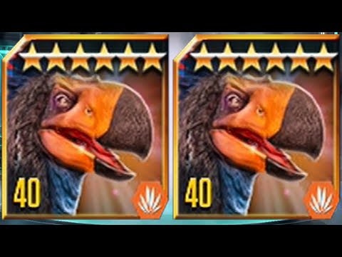 GASTORNIS MAX LEVEL 40 - Jurassic World The Game