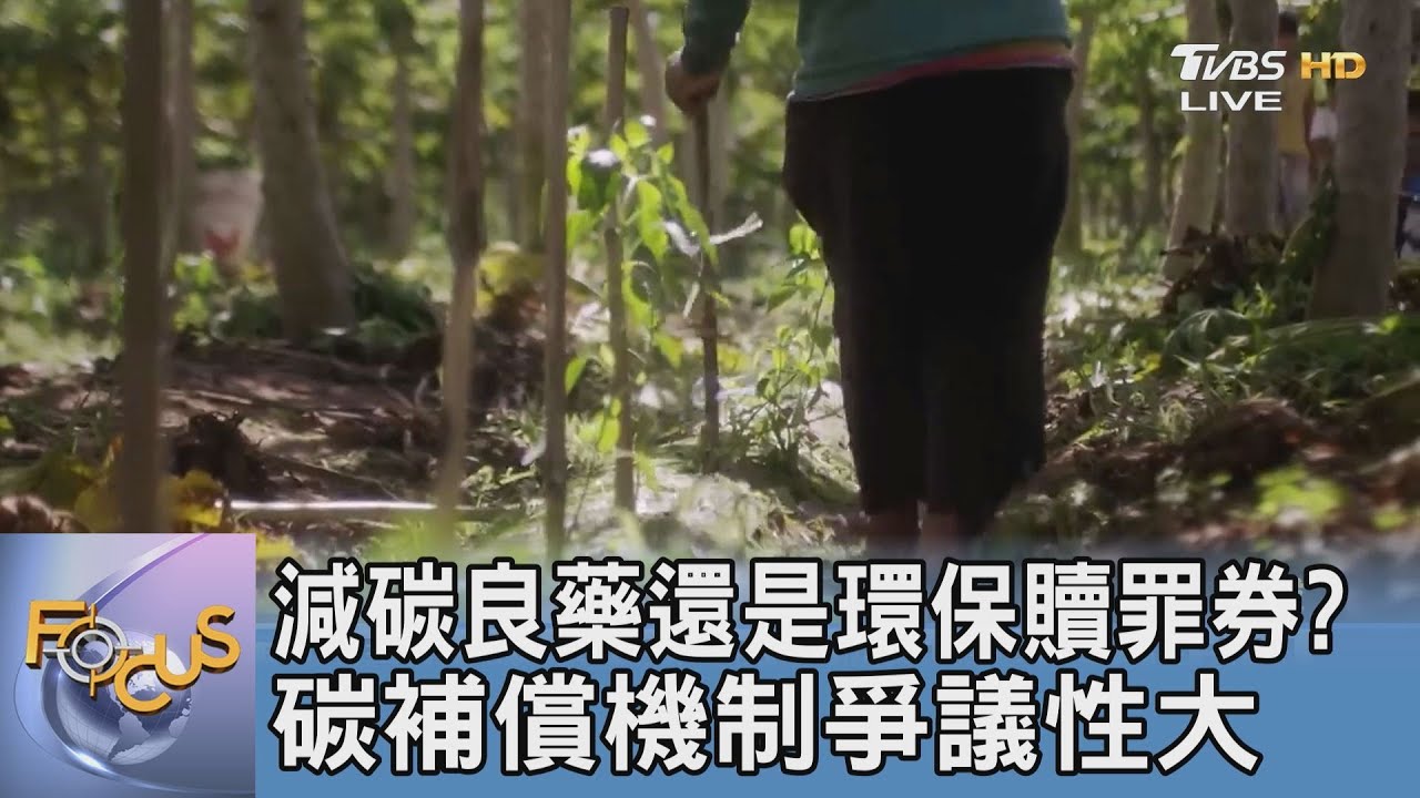 減碳良藥還是環保贖罪券? 碳補償機制爭議性大