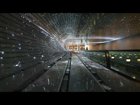 Alan Watts ~ Life Is A Game Of Chances