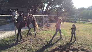 Horse Dances with Girls