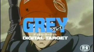 Grey: Digital Target Advertisement