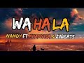 Nandy ft Khanyisa & Ziibeats - Wahala Official Sub Lyrics.