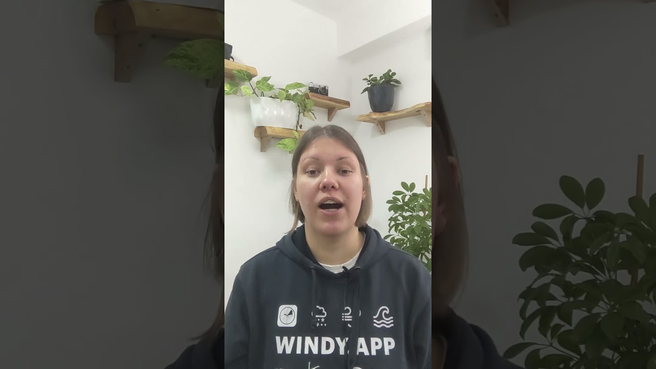How to change wind forecast to swell forecast on the main screen #appsettings #windy #swell #android