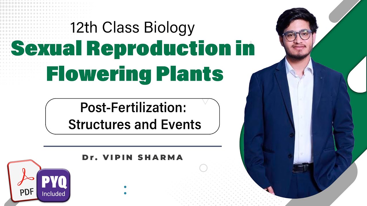 L4: Post Fertilization Events | Sexual Reproduction in Flowering Plants| 12th Class Biology ft Vipin