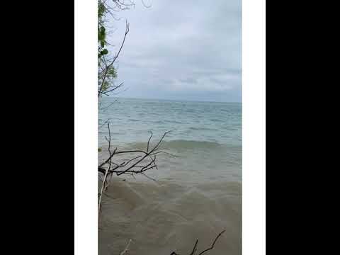 Craighleith Provincial Park